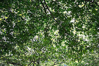 太空冒险射击游戏《和声》将于12月3日发行